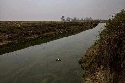 Stream of water next to the fields in the italian countryside in winter on a  Stock Photos