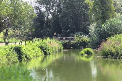 Stream of water in a park Stock Photos