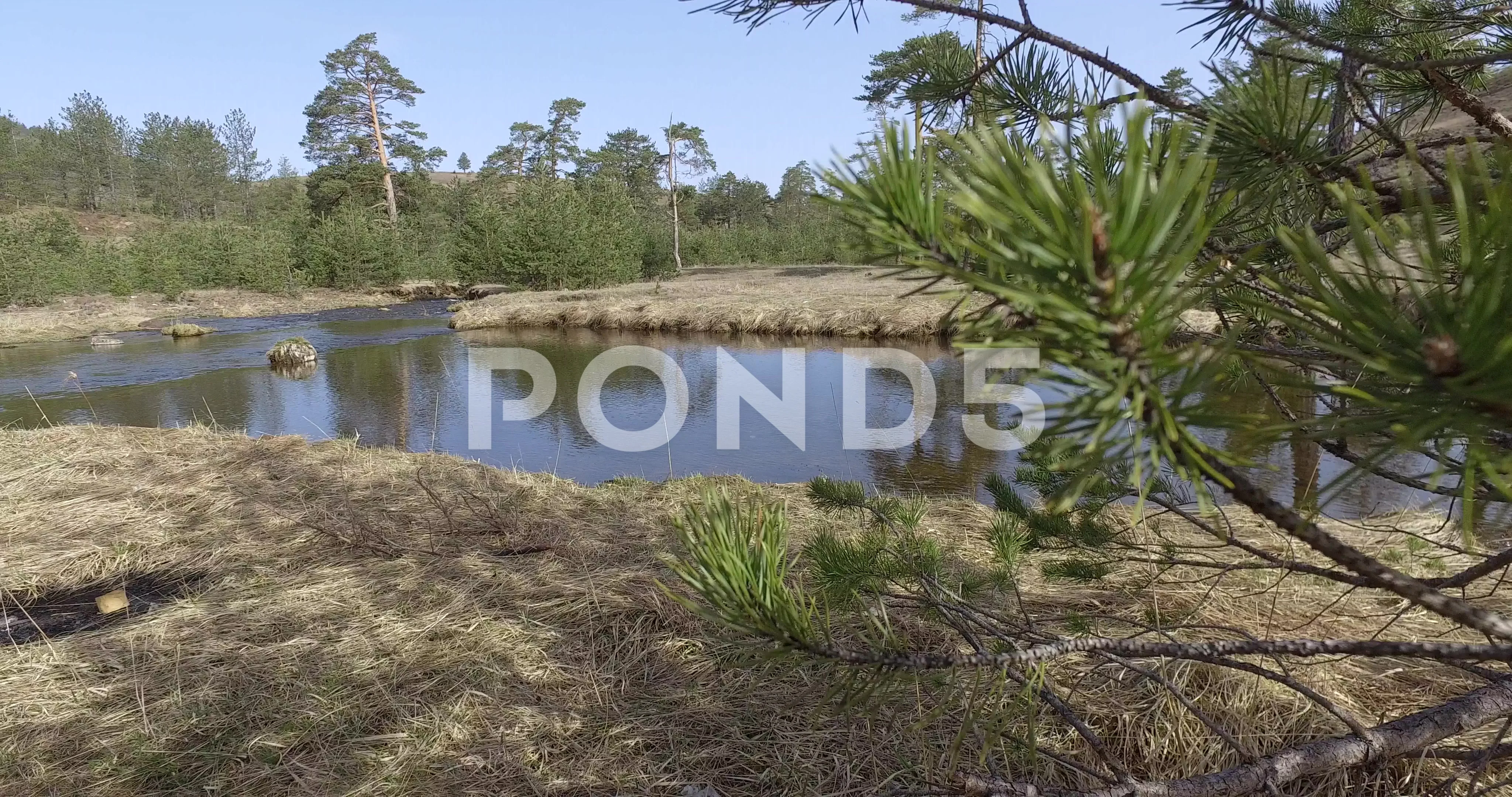 Stream Of Water Peaceful Forest River Stock Video Pond5