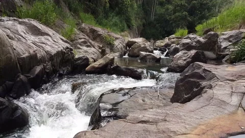 Stream Of Water - Peaceful Forest River Running Nature Fresh Creek Video stock 200328336
