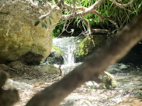 Stream of water Stock Photos