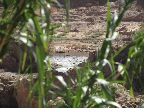 Stream of water Stock Photos