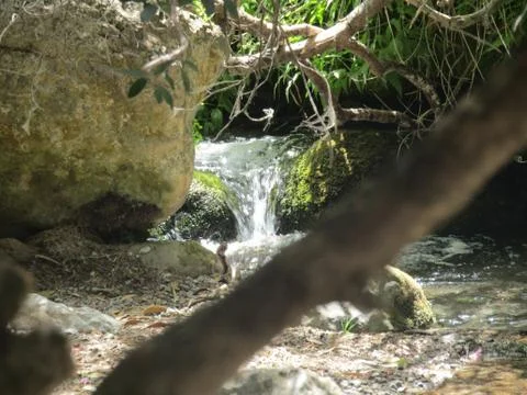 Stream of water Stock Photos