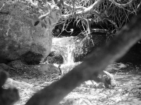 Stream of water Stock Photos