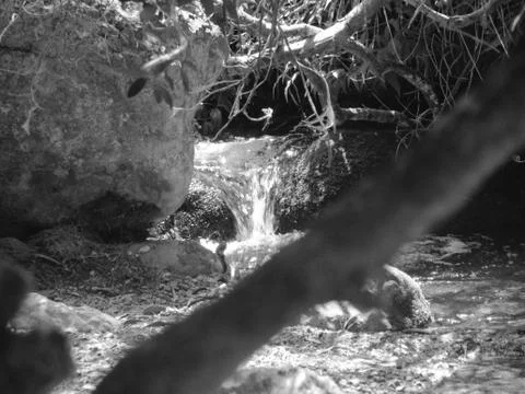 Stream of water Stock Photos
