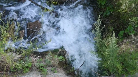 Stream of water from a pipe, top view. Polluted sewage water Stock Footage 157747687
