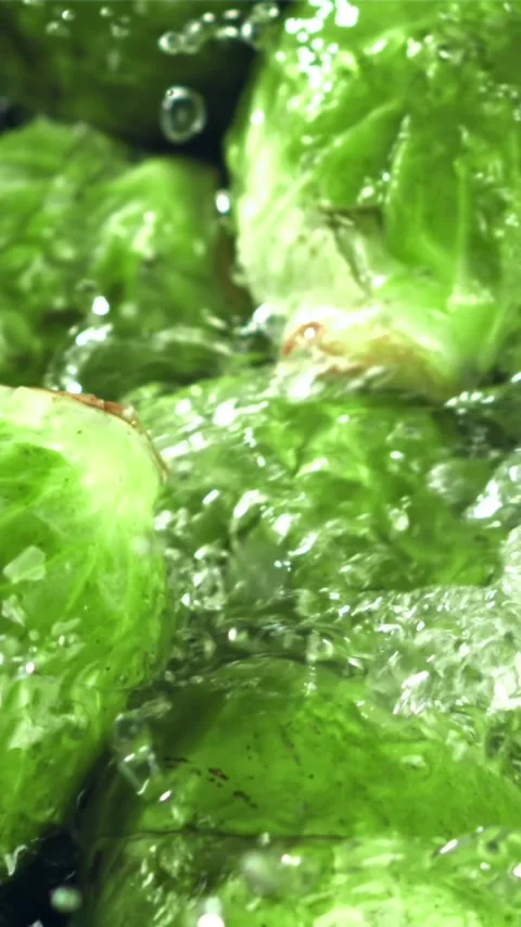 A stream of water pours into Brussels sprouts. Filmed on a high-speed camera at Stock Footage 335321451