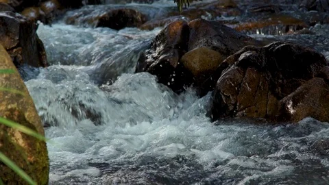 Stream water in rapid river in mountain close up. Water stream quickly flowing Video stock 90605445