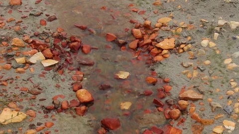 Stream of water in red rocks Stock Footage 80961675