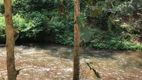 STREAM OF WATER RIVER NATURAL Stock Footage 138901567