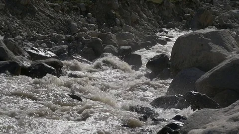 Stream of water in river in slow motion Stock Footage 77247966