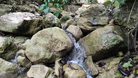 Stream of water with rocks and plants in Peru Stock Footage 282218921