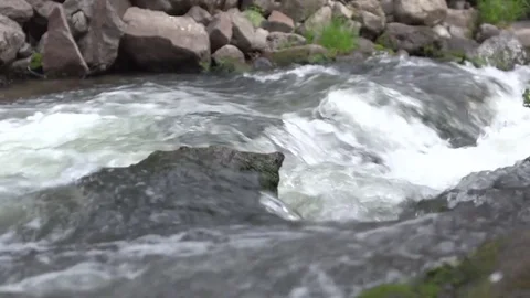 Stream Water on Rocks Stock Footage 85282493