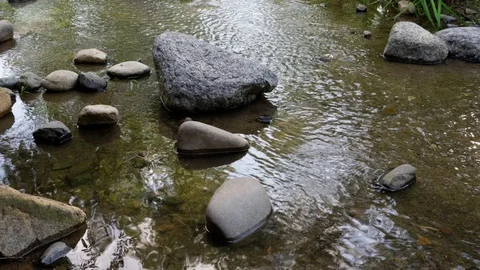 Stream Water Rocks Vídeo Stock 111825807