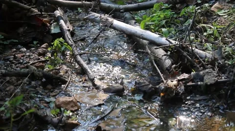 Stream of water running through woods Stock Footage 41295095