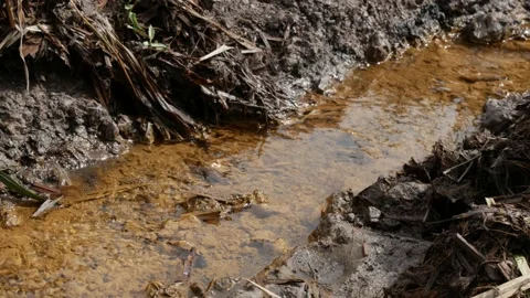 Stream of water on the small drainage ditch in peat bogs Stock Footage 159267665