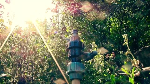 A stream of water from a sprayer sun light through green leaves \ new quality Video stock 79826189