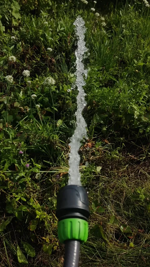 A stream of water sprays vertically from a garden hose. Stock Footage 344038433