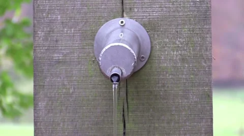 The stream of water from a spring in forest Stock Footage 44160071