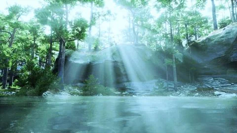 A stream of water surrounded by trees and rocks Stock Illustration