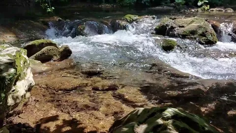 Stream water through nature 스톡 동영상 244011873