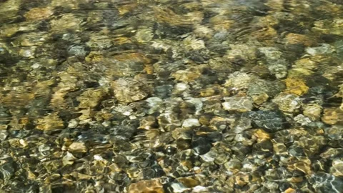 A stream of water through which a rocky bottom is visible. Stock Footage 159052570