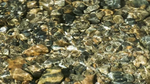 A stream of water through which a rocky bottom is visible. Stock Footage 159539772
