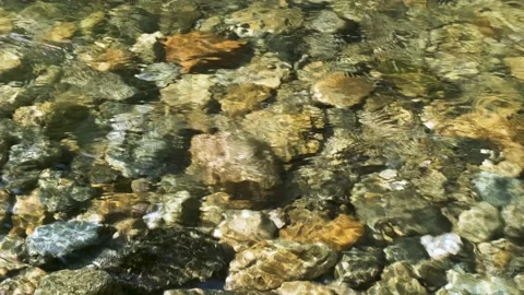 A stream of water through which a rocky bottom is visible. Stock Footage 159952732