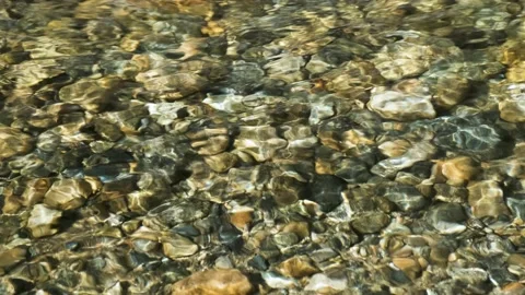 A stream of water through which a rocky bottom is visible. Stock Footage 164511433