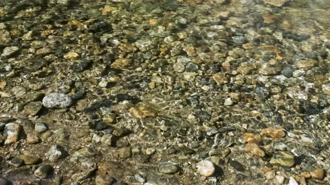 A stream of water through which a rocky bottom is visible. Stock Footage 164654572