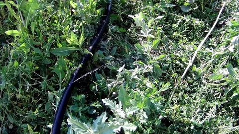 A stream of water from a torn hose Stock Footage 78058556