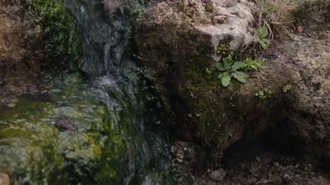 Stream of Water Trickling Down Rocks in Hot Springs National Park Stock Footage 106354582