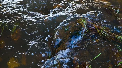 Stream Of Water Washes A Large Stone Stock Footage 201665868