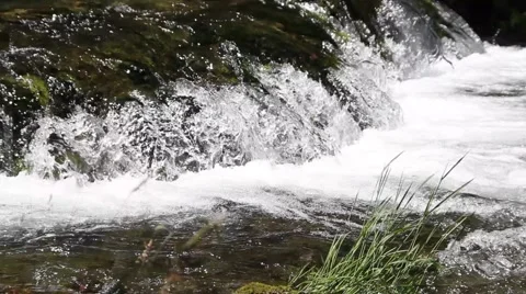 Stream of water by a waterfall Stock Footage 47994321