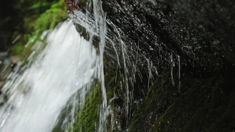 A stream of water of a waterfall is washed by a stone Stock Footage 116436503