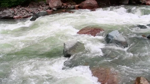 Stream water wonderful forest,Turkey Stock Footage 108516618