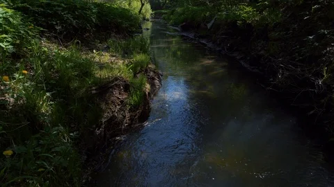 Stream watercourse. fly over river Stock Footage 89753280