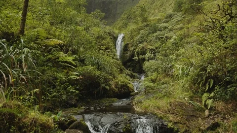 Stream With Waterfall Stock Footage 75252386