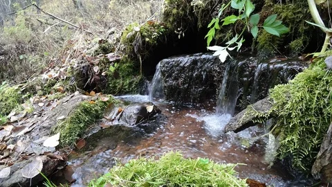 Stream waterfall Stock Footage 117354208