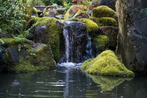 Stream Waterfall Stock Photos