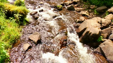 Stream to Waterfall Tilt Up Stock Footage 313680