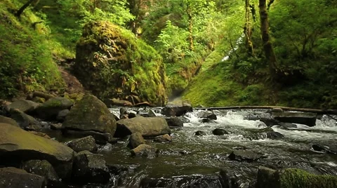 Stream waterfall track Stock Footage 1037846