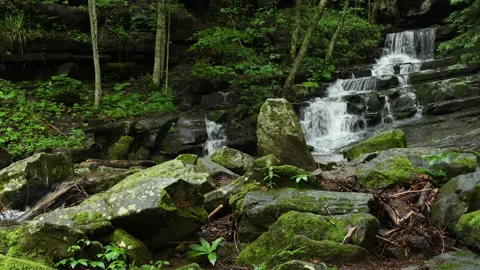 Stream with waterfalls in a forest Stockbeeldmateriaal 157399494