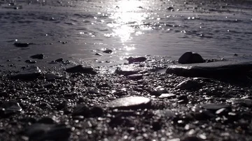 Stream at the waters edge Stock Footage 85701353