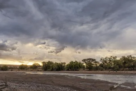 Stream on the way to the Namibia Desert, Stormy sky. Stock Photos