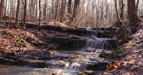 Stream Wide Stock Footage 73274000