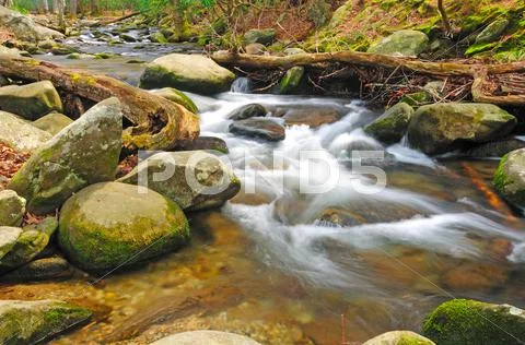 Stream in the wilderness Stock Photos