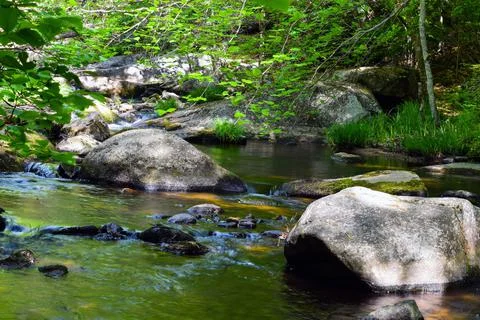 Stream in the wilderness Stock Photos