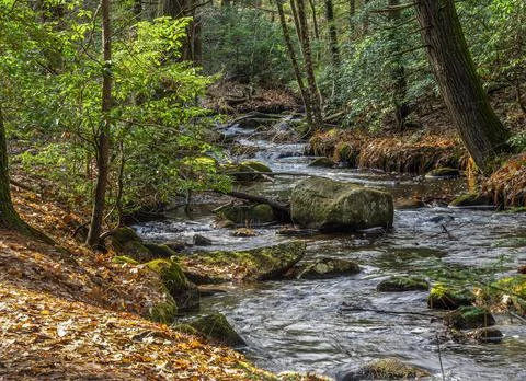 A stream winding its wy  through pearl hill state forest Stock Photos