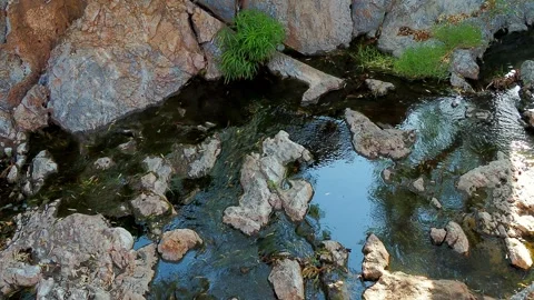 A stream winds through the landscape, captured from a low aerial perspective. Stock Footage 317220330